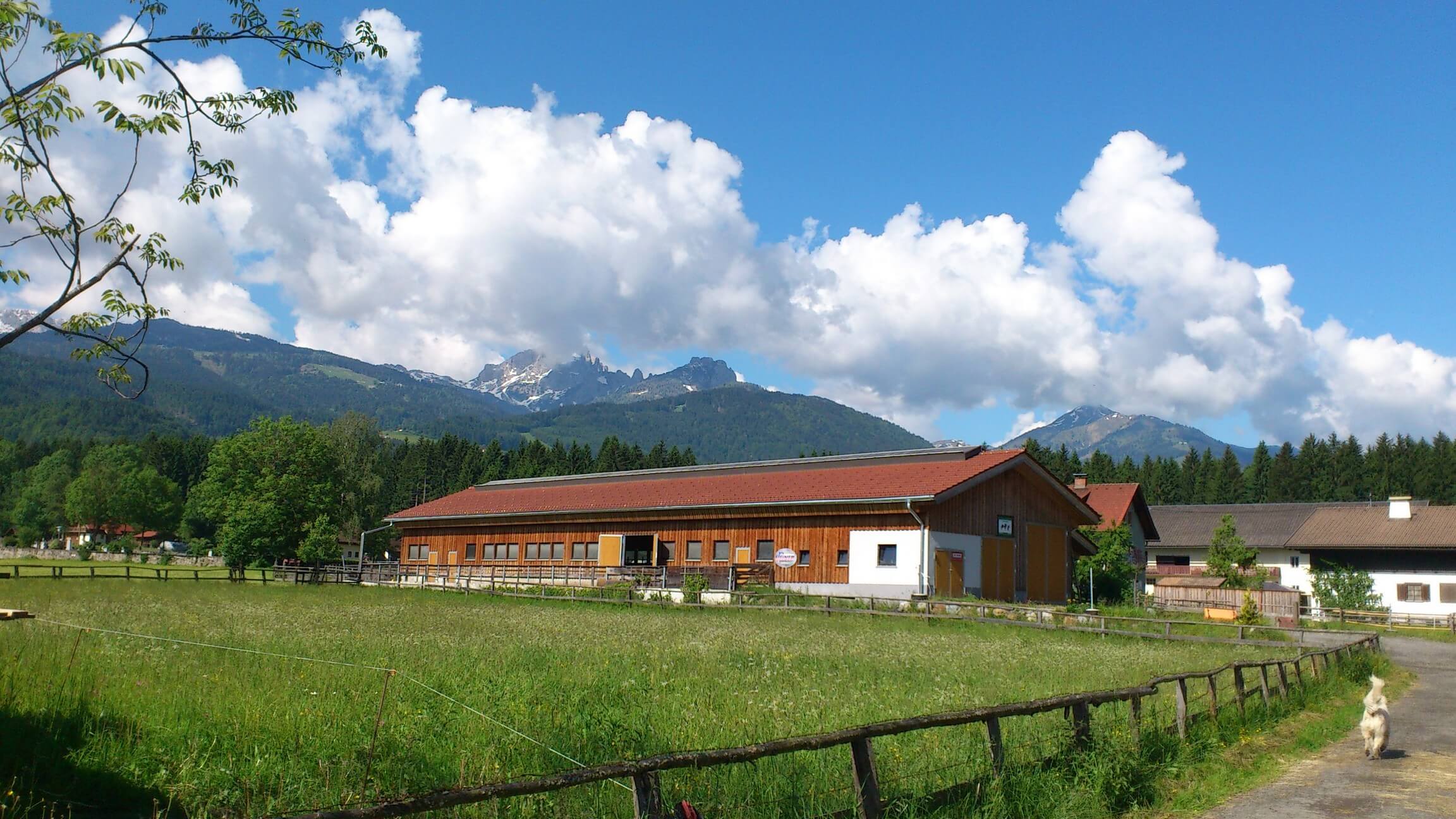 Gasthof Pension Loeffele