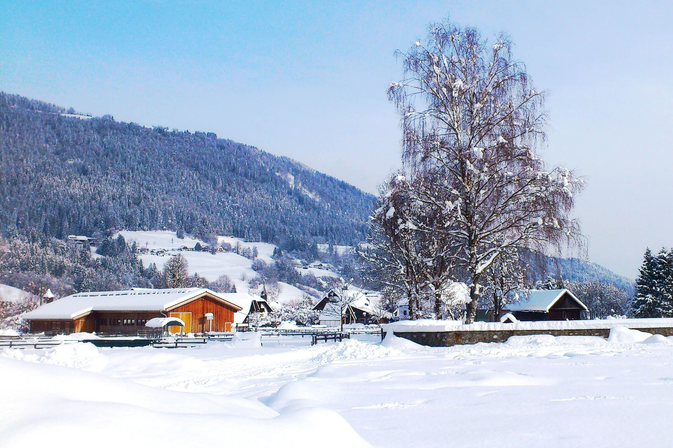 Zerza Loeffele - Bauernhof